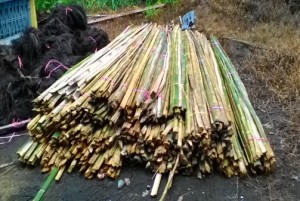 bambu atap ijuk