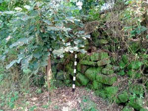 Read more about the article BPCB Jateng Tindaklanjuti Temuan Batu Candi Di Desa Mranggen, Klaten