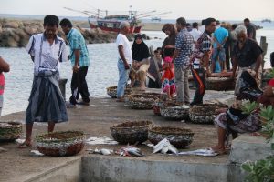 Aktivitas para nelayan pagi hari di Desa Meunasa Keudee