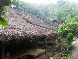Read more about the article Pemanfaatan Tumbuhan dalam Pengobatan Tradisional Masyarakat Baduy dan Sekitarnya