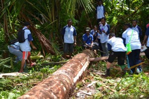 Peserta dan masyarakat lokal bersama-sama membelah batang pohon sagu