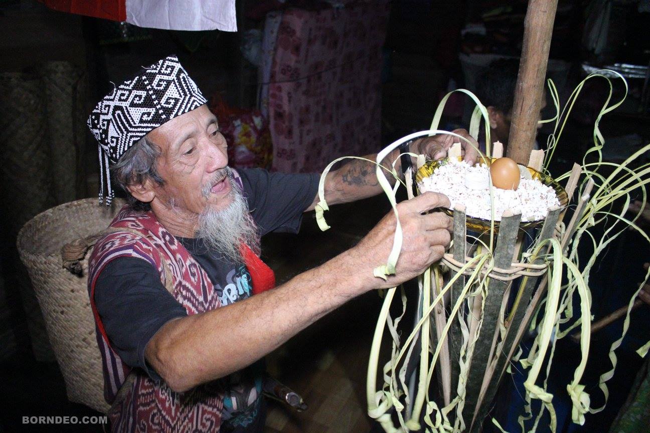 Upacara Adat Gawai Suku Dayak Iban Balai Pelestarian Kebudayaan