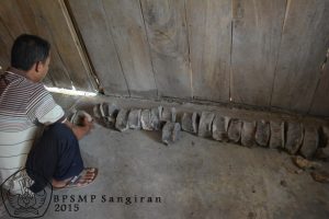 Sukamto menunjukkan fosil tulang belakang gajah purba temuannya