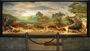 Koleksi diorama hewan bertanduk di Museum Manusia Purba Sangiran