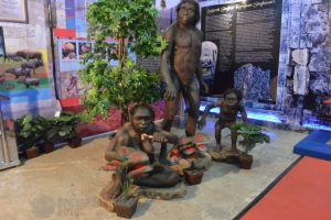 Koleksi patung Manusia Purba keluarga Homo erectus