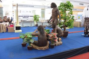 Patung rekonstruksi Homo erectus