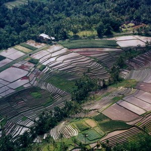 Cultural Bali Landscape 