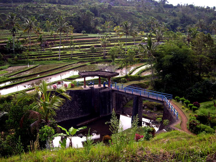 Cultural Landscape of Bali Province: the Subak System as a Manifestation of the Tri Hita Karana Philosophy. Water Reservoir © Ministry of Education and Culture of Indonesia