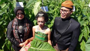 Pemetikan perdana daun tembakau oleh Direktur Kepercayaan dan Tradisi dan Dekan Fakultas Ilmu Pengetahuan Budaya Universitas Indonesia