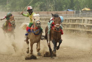 pacuan-kuda-tunggang-tradisional