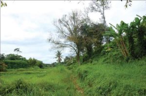 Read more about the article Konservasi Berbasis Kearifan Lokal  di Situs Benteng Puteri Hijau, Deli Serdang, Sumatera Utara