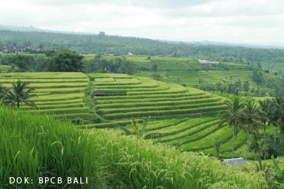 You are currently viewing Pengelolaan Lansekap Budaya dalam Kerangka Warisan Dunia: Studi Kasus Management Plan Lansekap Budaya Provinsi Bali