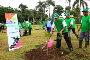 Read more about the article Borobudur Go Green
