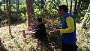 Read more about the article Penyelamatan dan Pengamanan Situs Kawasan Candi Borobudur