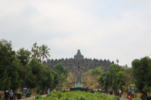Read more about the article Dua Pohon Di Zona Satu Candi Borobudur Dipangkas
