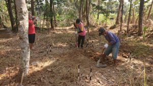 Read more about the article Ekskavasi Penyelamatan di KCB Borobudur