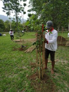 Read more about the article Rehabilitasi Hutan dan Lahan Kawasan Candi Borobudur