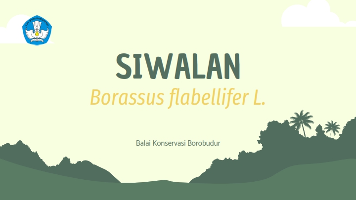 You are currently viewing Siwalan