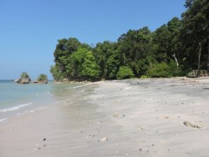 Pantai timur Tanjung Pananjung