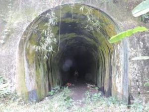 Read more about the article Terowongan “bengkok” Juliana