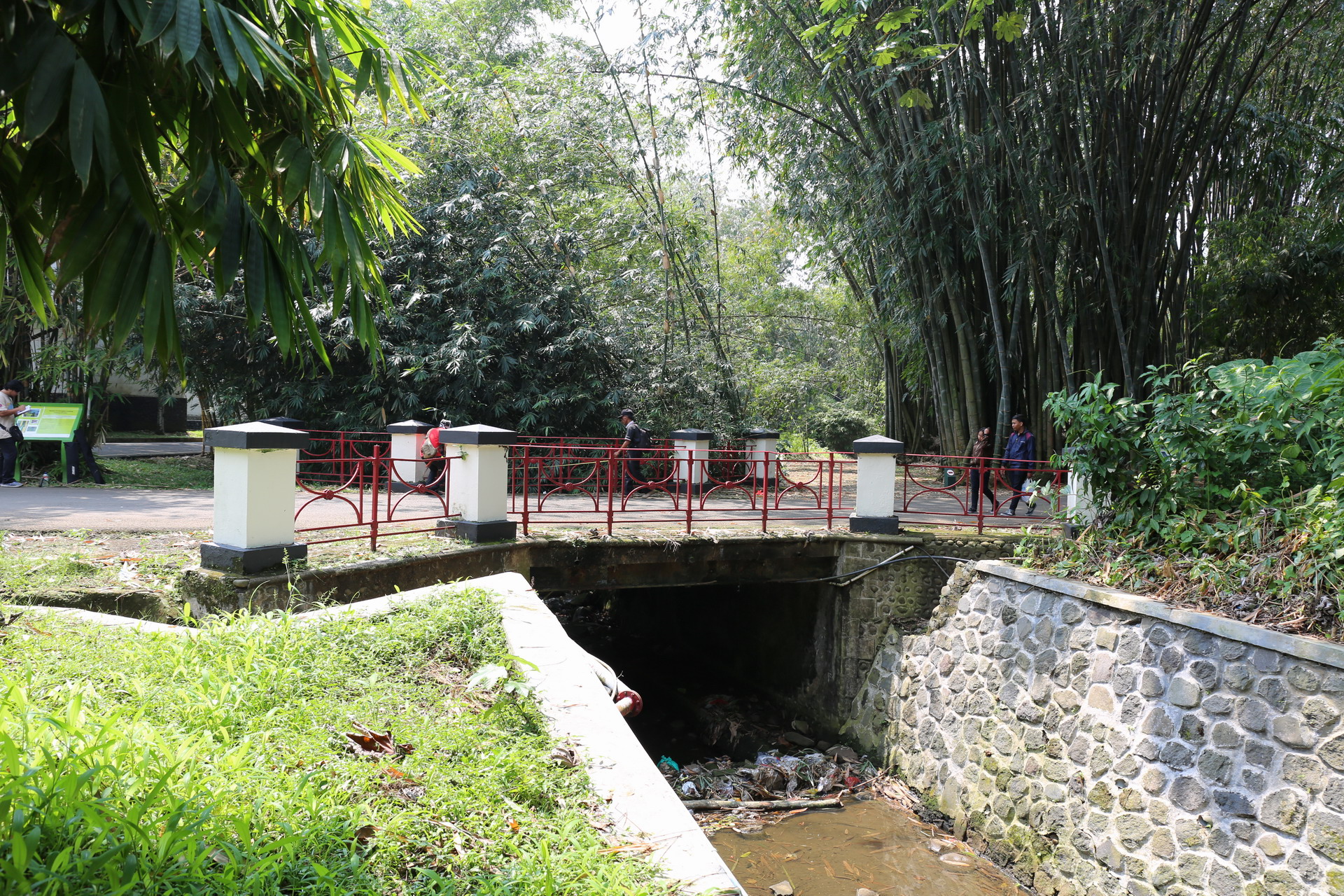 Read more about the article “Jembatan 1894” di Kebun Raya Bogor