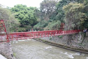 Read more about the article “Jembatan Merah” di Kebun Raya Bogor