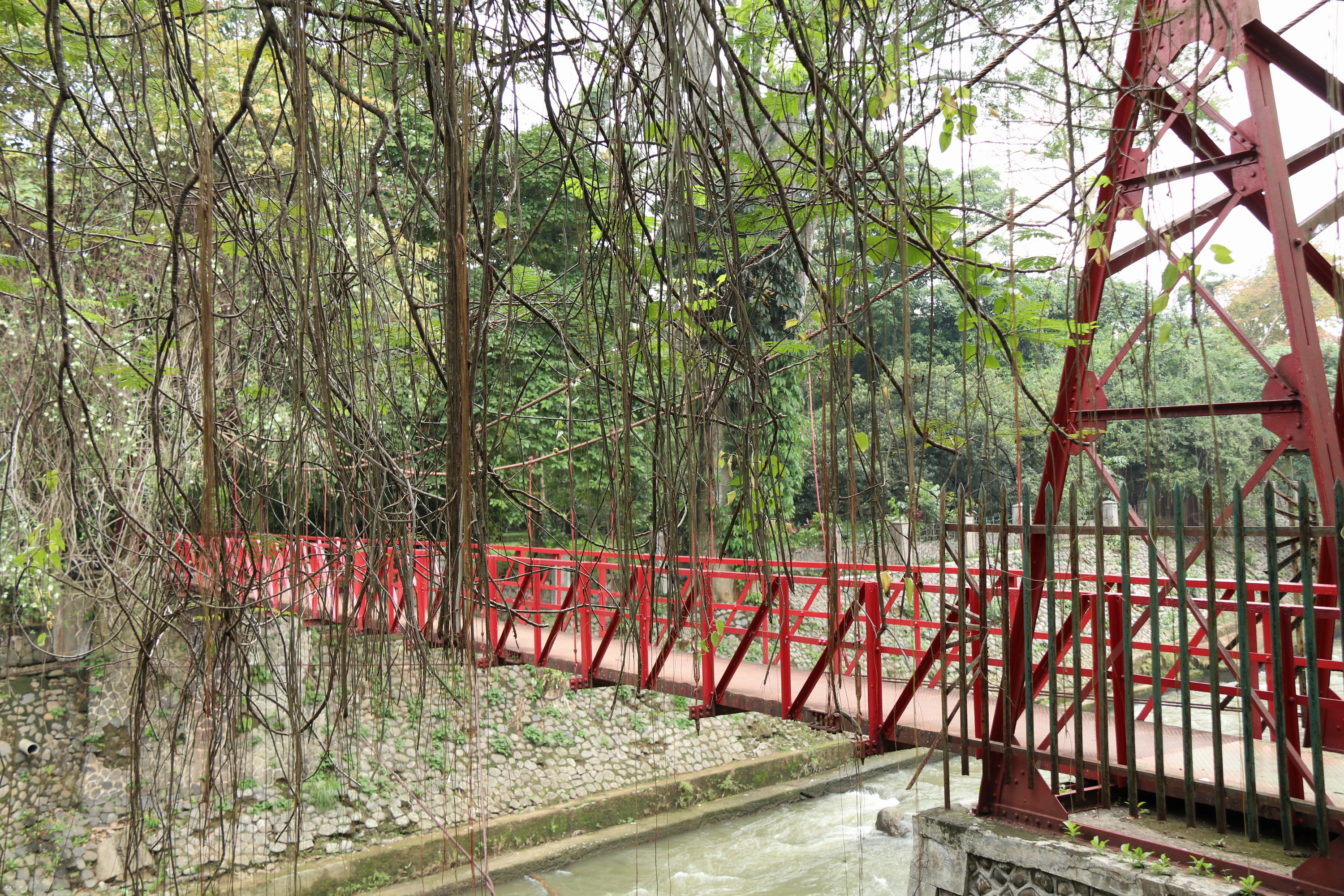 You are currently viewing Kebun Raya Bogor, ide awal pembuatannya