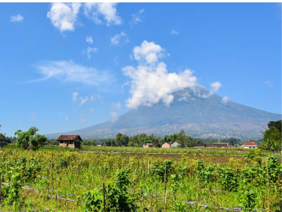 Read more about the article Gunung Bagian I (Peninggalan Arkeologi di Pereng Wukir Susundara-Sumving)