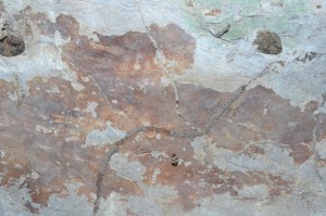 Temuan lukisan dinding pada Gua Andomo