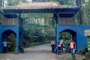 pintu masuk Taman Nasional GUnung Halimun-Salak