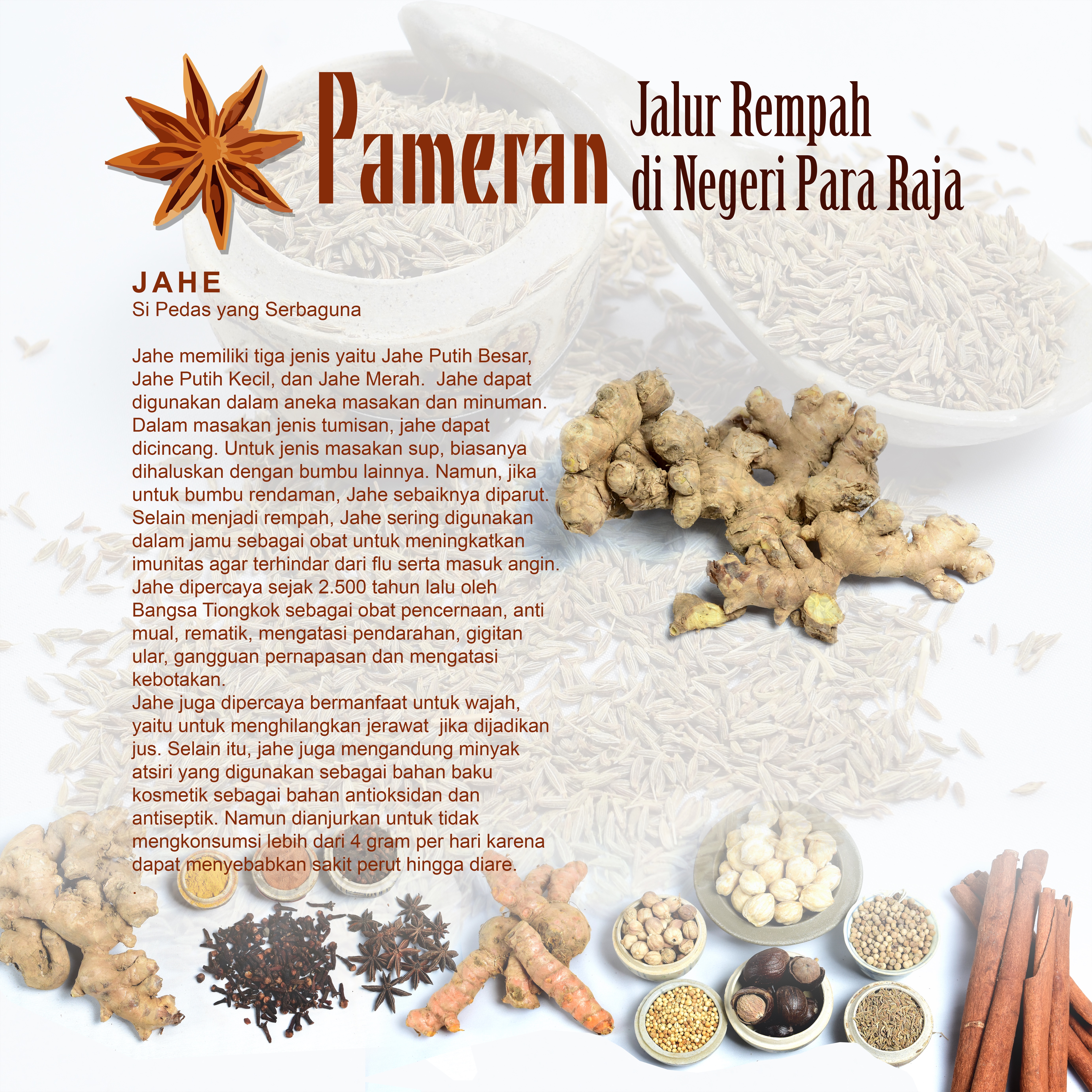 Read more about the article Jahe – Si Pedas yang Serbaguna