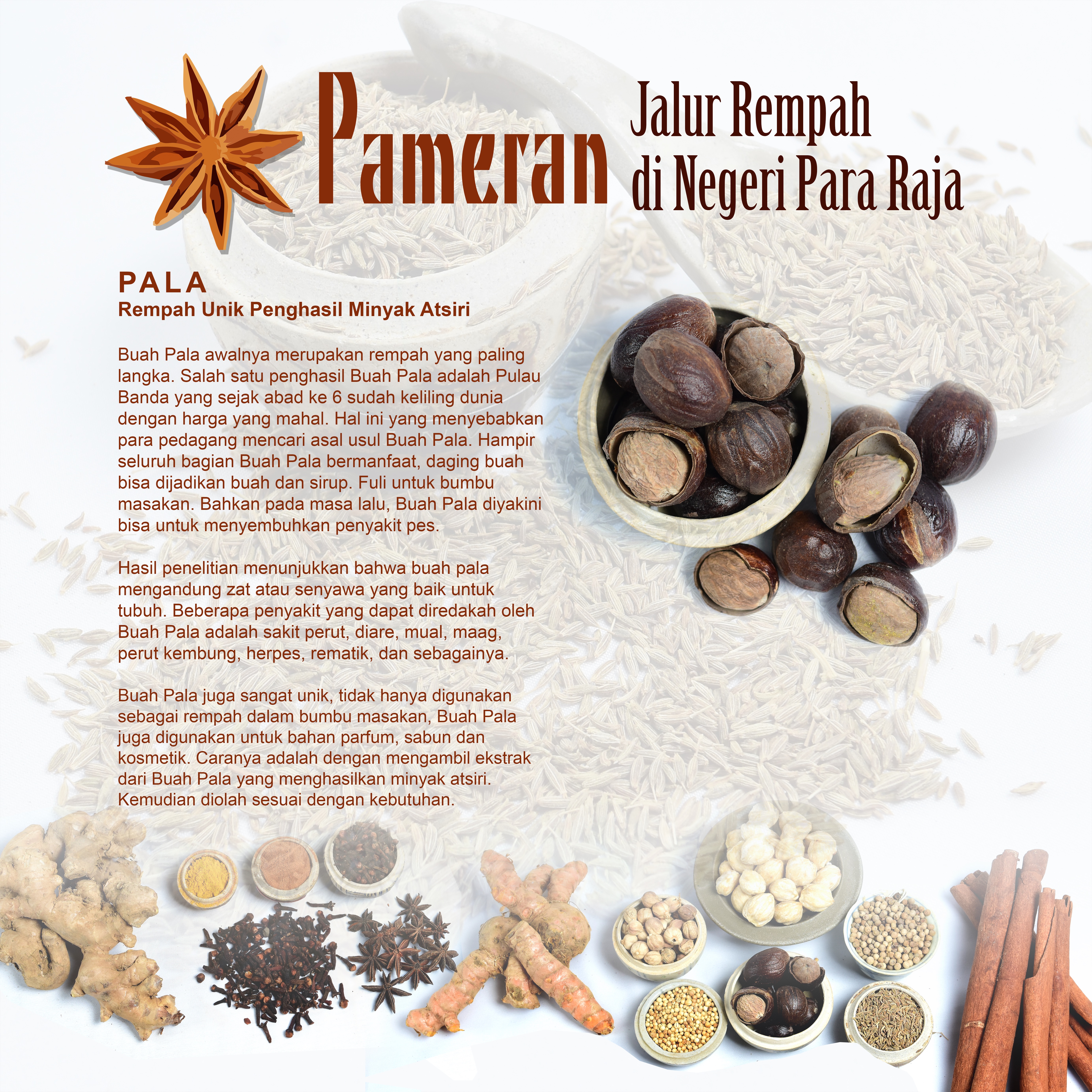 Read more about the article Pala – Rempah Unik Penghasil Minyak Atsiri