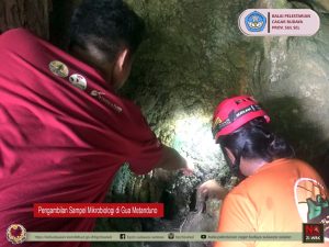 Read more about the article Pemantauan Laju Kerusakan Gambar Dinding Gua Prasejarah berikutnya di Provinsi Sulawesi Tenggara, tepatnya di Gua Metanduno Kab. Muna dan Gua Anawai Kab. Konawe Utara. Waktu pelaksanaannya dari 17 s.d. 27 Oktober 2021.
