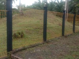 Bukit kerang (kjokkenmoddinger) di Bintan