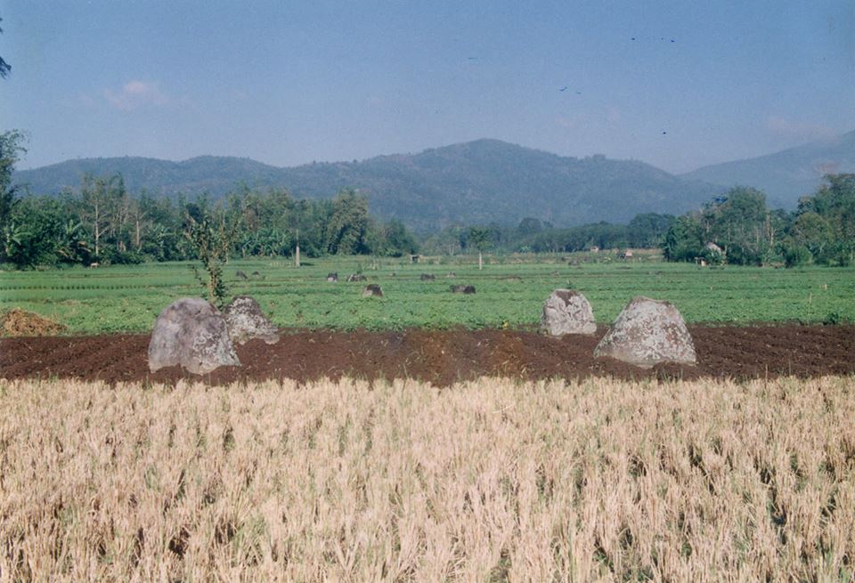 Lingkungan Situs Belumai