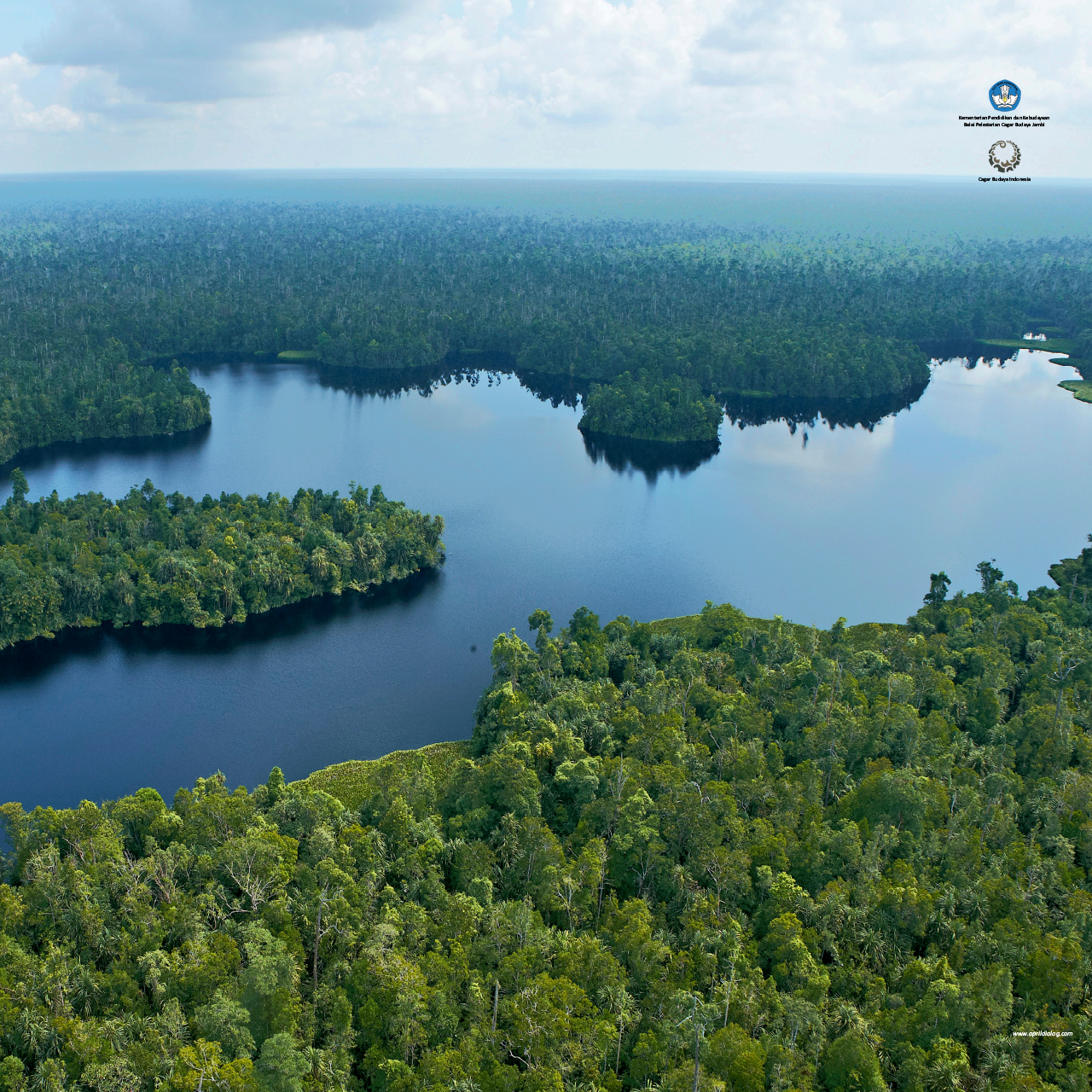 Pantai Timur Sumatera: Lahan Basah di Muara Sungai Besar