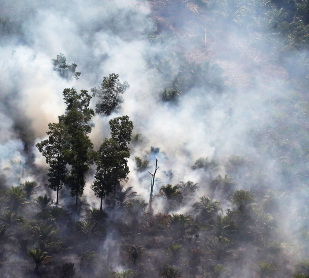 Dampak Ekologis: Sumber Emisi Gas Rumah Kaca