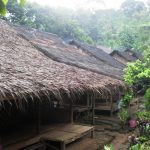 Pemanfaatan Tumbuhan dalam Pengobatan Tradisional Masyarakat Baduy dan Sekitarnya