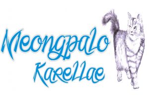 Read more about the article Meongmpalo Karellae