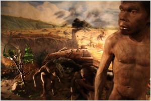 Rekonstruksi Homo erectus