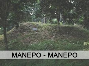 Manepo di Muara Jambi