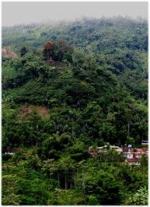 Gunung Padang-Lingkungan