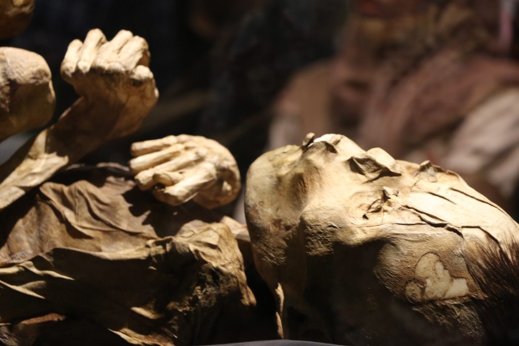 Mumi Asli Dari Toraja di Pekan Kebudayaan Nasional