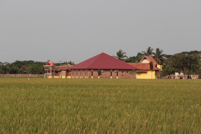 Museum Situs Batujaya di antara hijaunya padi.