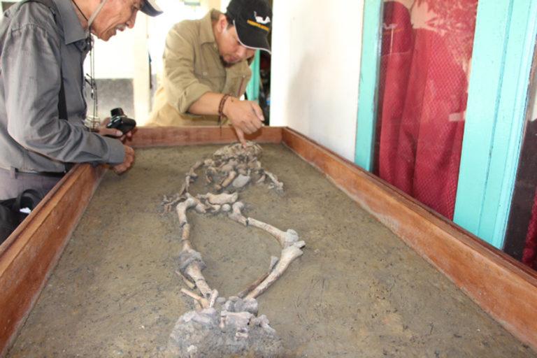 Kerangka anak-anak yang ditemukan oleh Balai Pelestarian Cagar Budaya Serang pada 2013 saat membuat parit di halaman Candi Blandongan di Situs Batujaya.