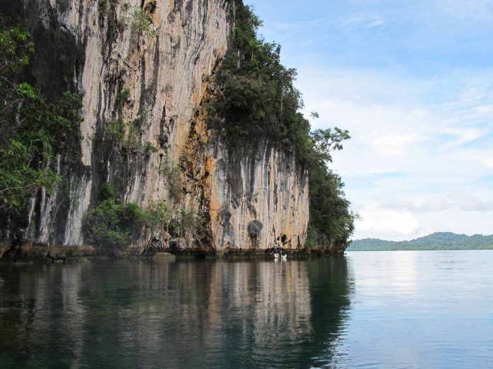 Salah satu tebing di Papua.