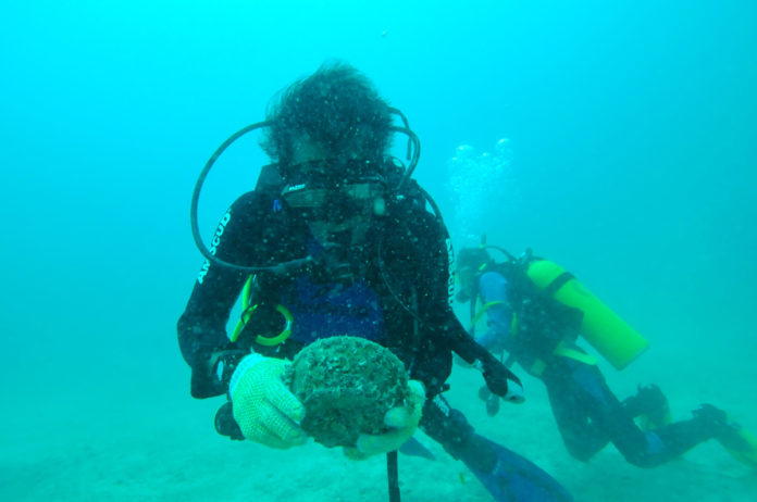 Keramik yang ditemukan pada saat survei bawah air di Perairan Natuna.