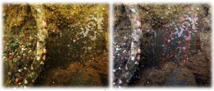 Gerabah yang ditemukan di bawah air dengan hiasan rolet