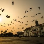 Menyambut Pagi di Kota Tua Jakarta