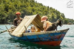 Read more about the article Orang Laut “Pengarung Lautan Beratap Kajang”